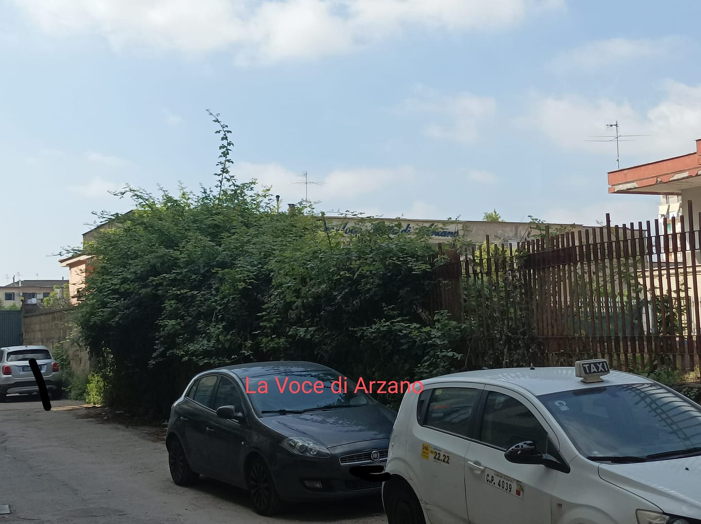 Sette re, interrotto l’intervento di manutenzione al verde