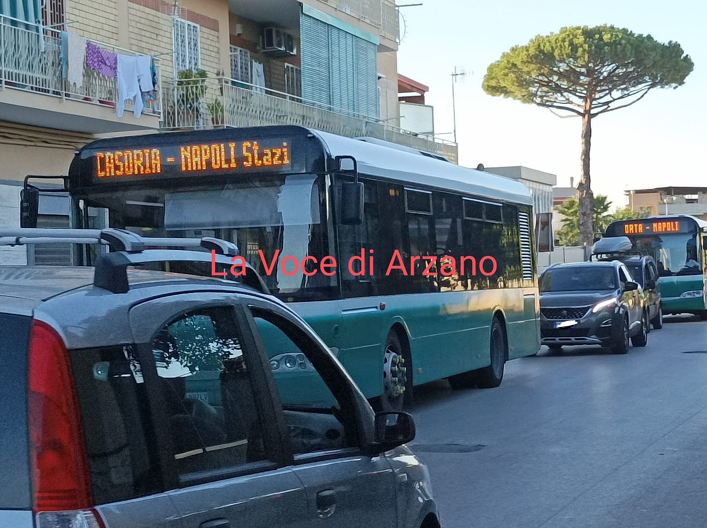 Sembra un sogno, ma è realtà. Due autobus insieme