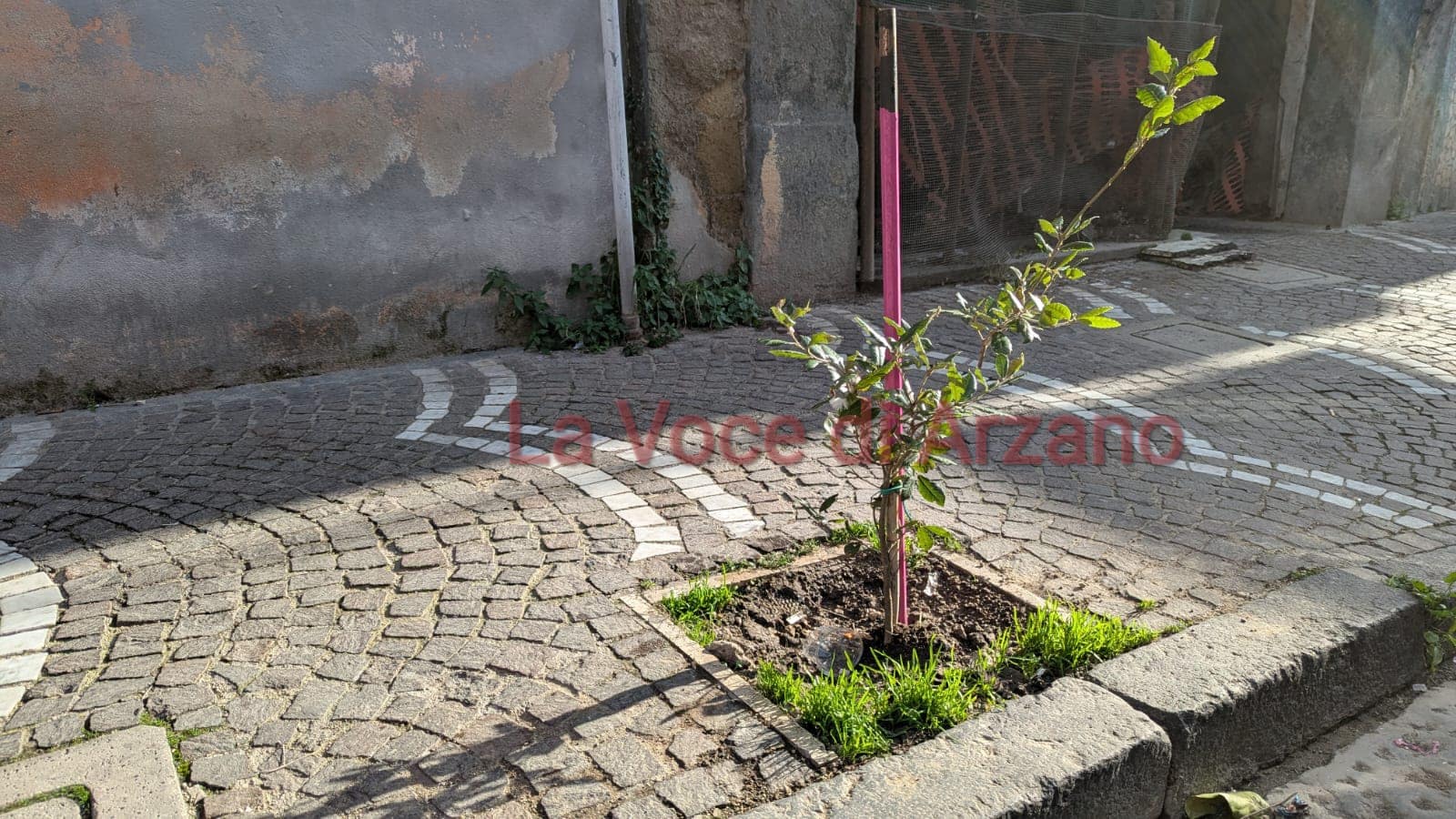 Veco, sente e facce finta ‘e niente