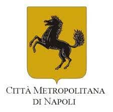 La Città Metropolitana cerca immobili anche ad Arzano per finalità scolastiche. Perchè non proporre la scuola dei Sette Re?