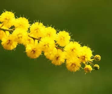 Quando non avremo più bisogno dell’8 marzo?