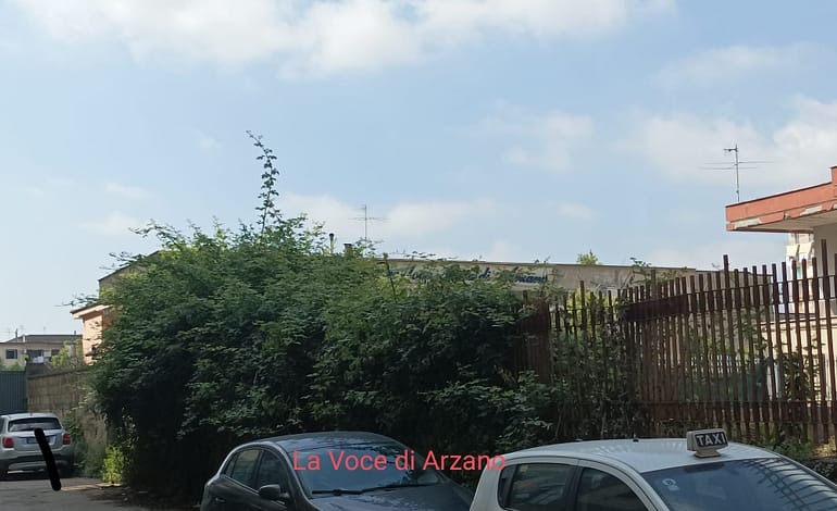 Sette re, interrotto l’intervento di manutenzione al verde