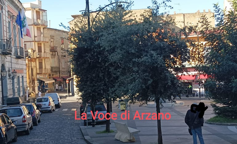 Manutenzione degli alberi assente. Sagomatura, questa sconosciuta