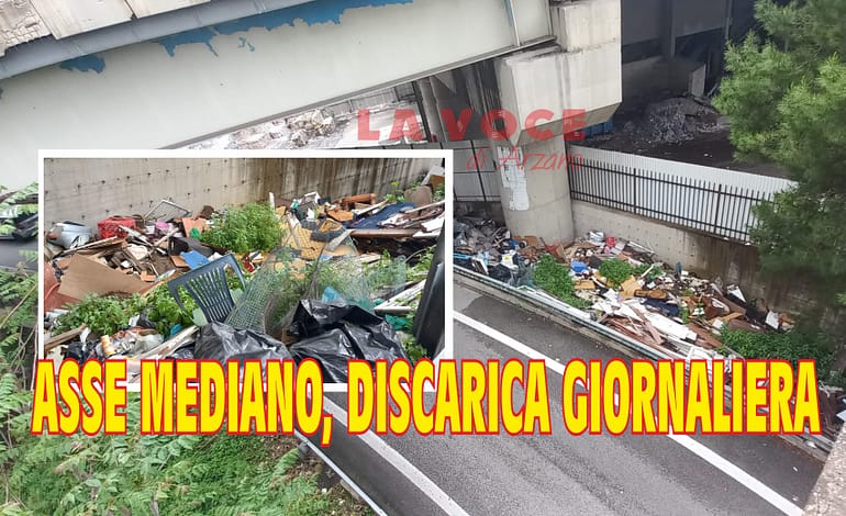 Asse Mediano, svincolo di Arzano una discarica a cielo aperto