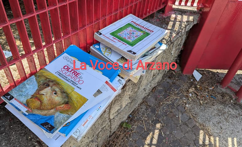 Ancora un abbandono di libri