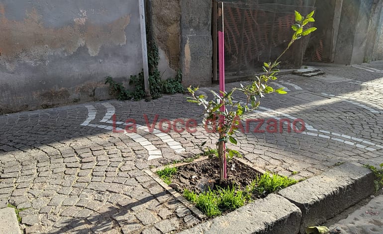 Veco, sente e facce finta ‘e niente